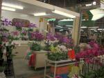 Tainan Flower Market-3.JPG
