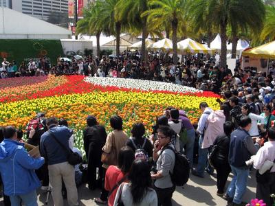 Hong Kong Flower Exhibition 2009 Victoria Park Causeway Bay-31.JPG
