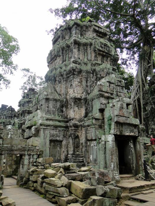 Ta Prohm Temple - Old Brahama - Tomb Raider (20).JPG