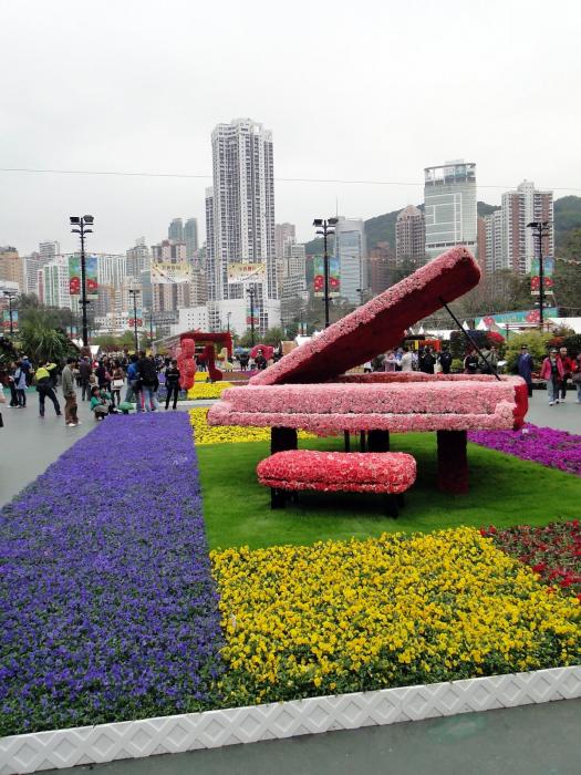 HK Flower Exhibition - Victoria Park -2013.JPG
