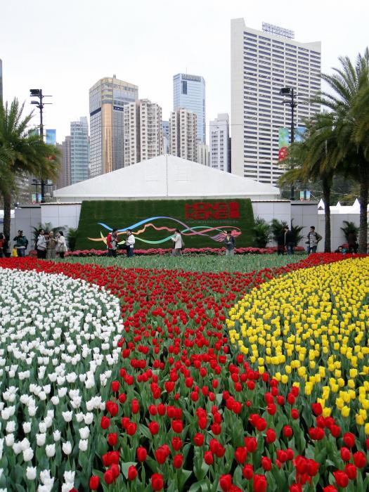 HK Flower Exhibition - Victoria Park -2048.JPG
