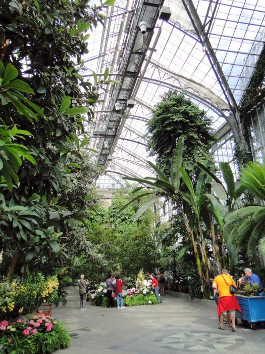National Botanic Gardens Washington Dc Visions Of Travel