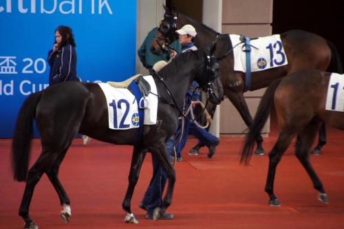 Horse Racing - Sha Tin (84).JPG