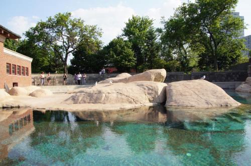 Lincoln Park Zoo - Chicago (19).JPG