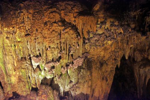 Camuy Caves Puerto Rico (73).JPG