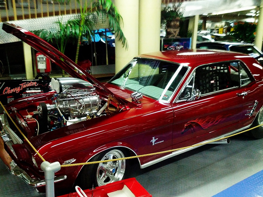 The Automobile and Collectibles Specialty Museum : Tallahassee