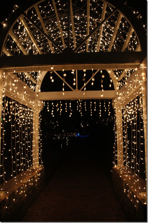 Christmas lights in Tallahassee (21)