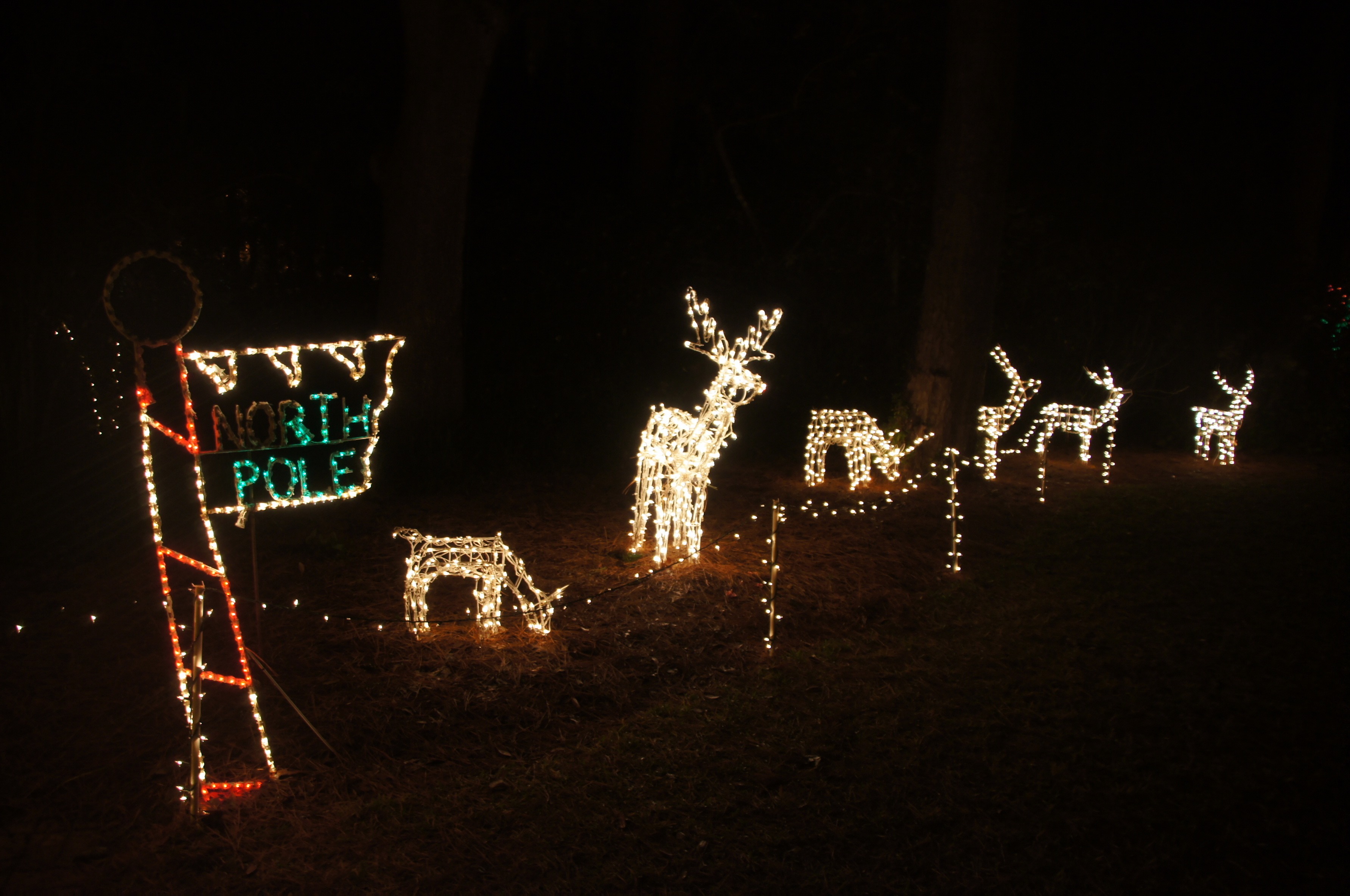christmas lights in tallahassee visions of travel christmas lights in tallahassee visions of travel