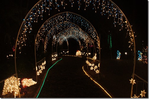 Christmas lights in Tallahassee (30)