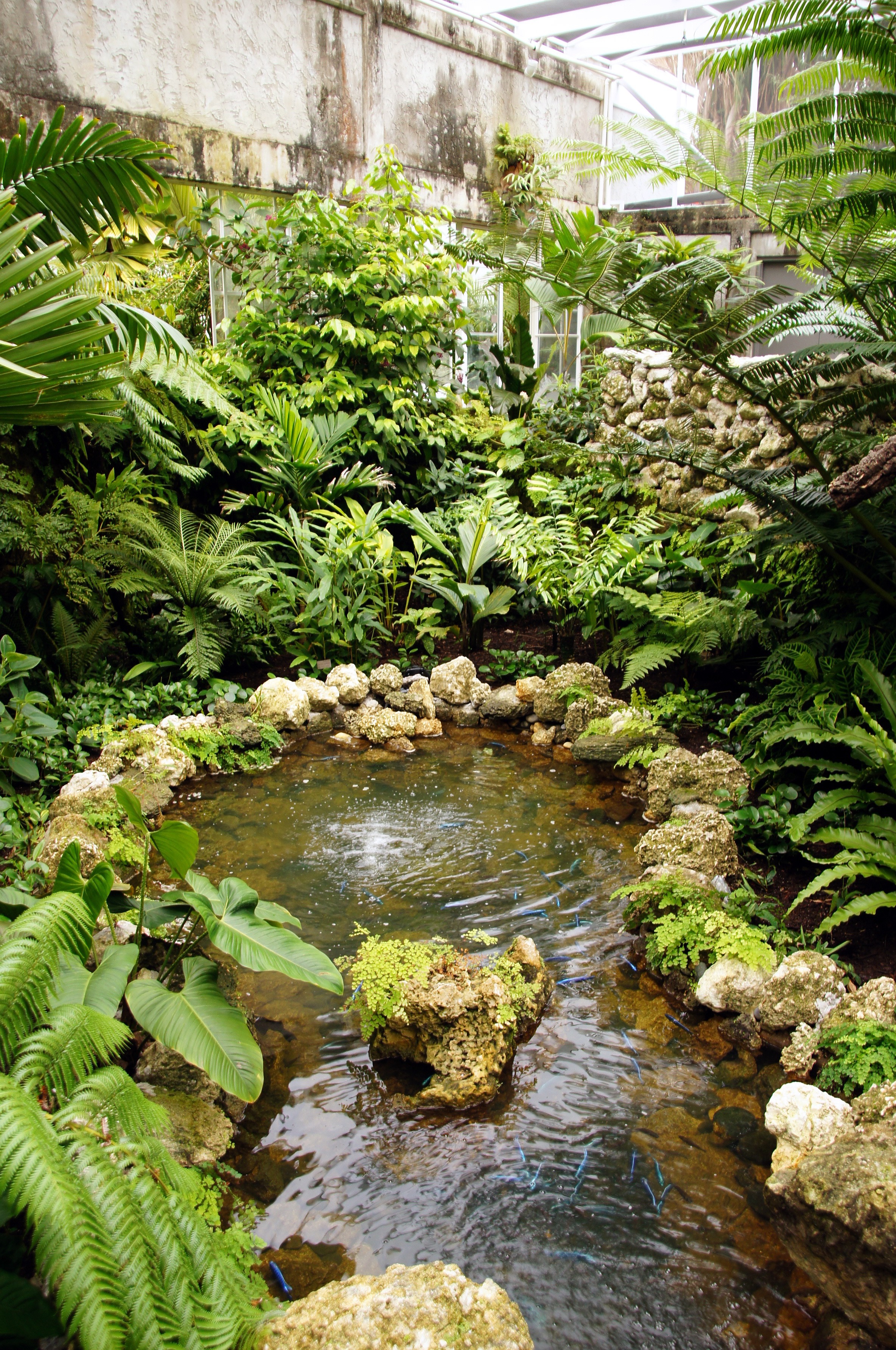 Fairchild Tropical Botanical Gardens In Miami Fairchild 640 x 480