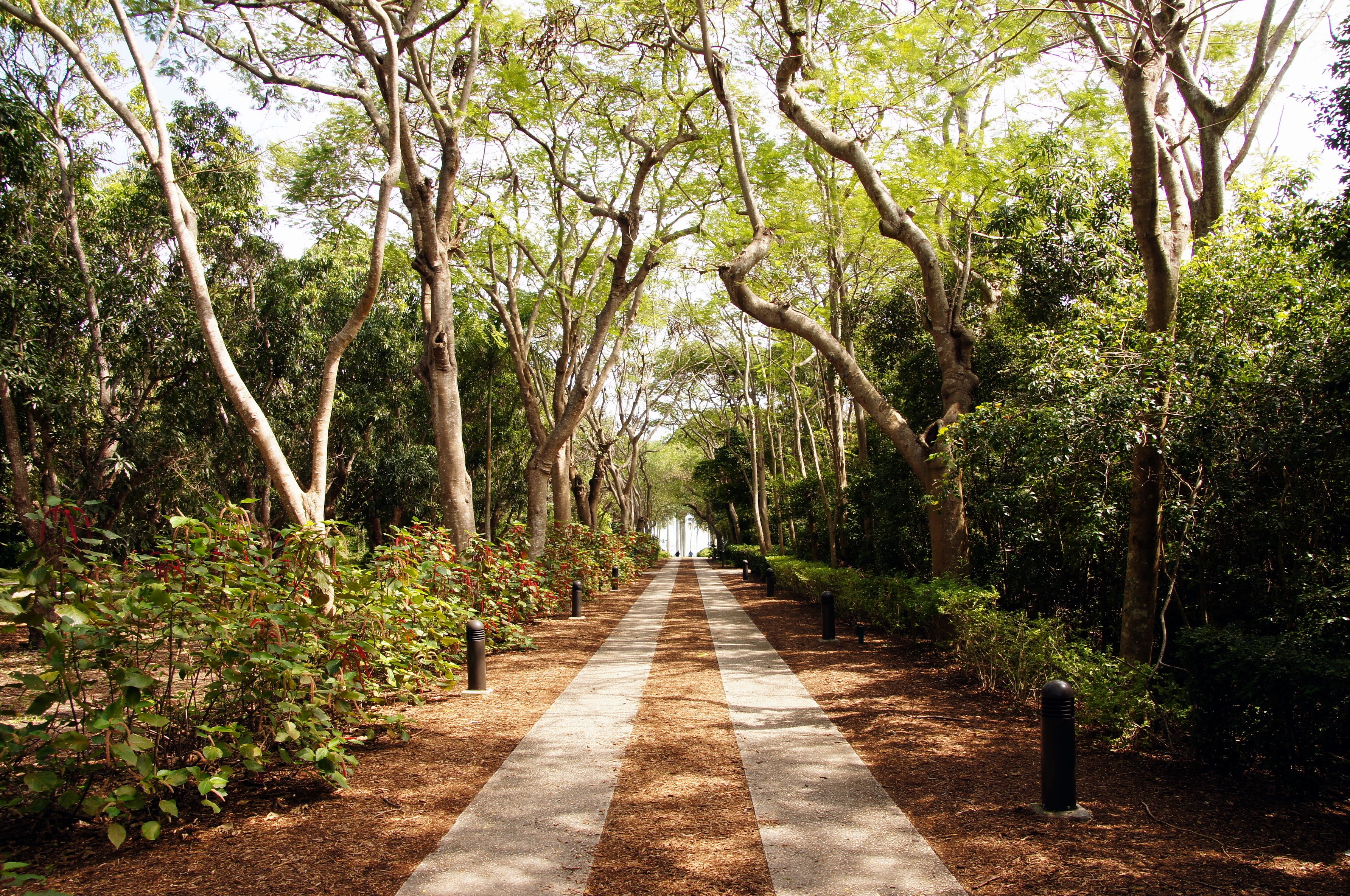 Fairchild Tropical Botanical Gardens Miami Visions Of Travel