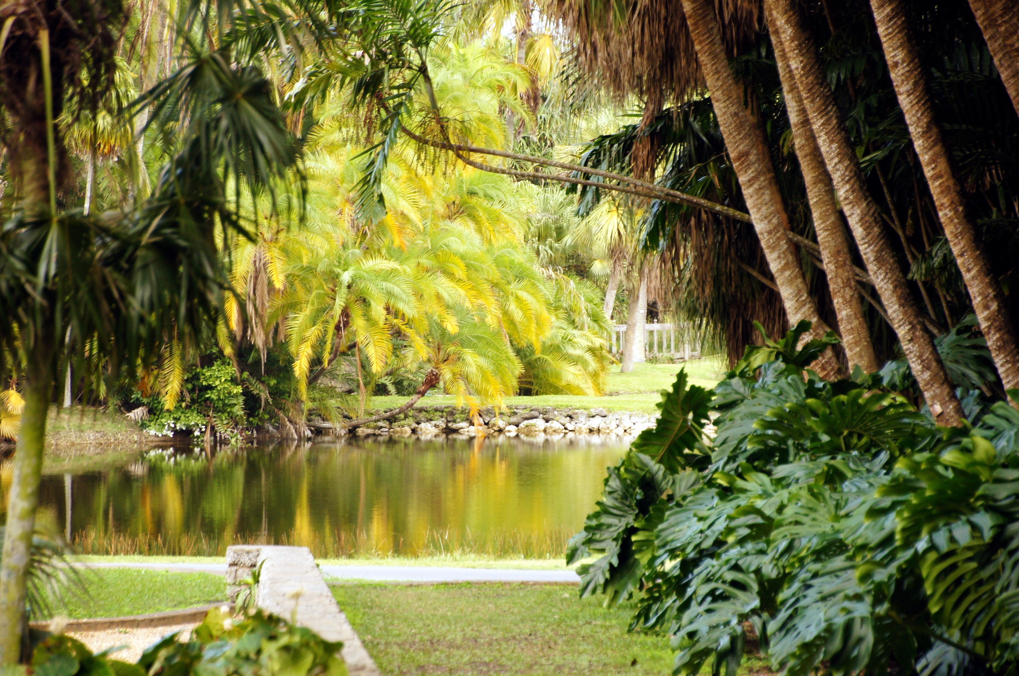 fairchild tropical botanic garden