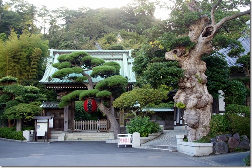 Hasedera Temple - Kamakura - Japan (1)