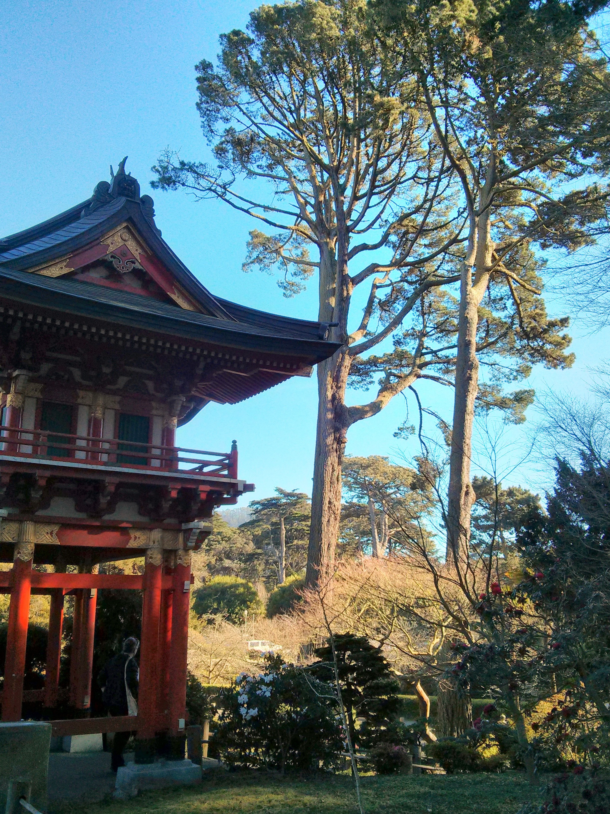 Japanese Tea Garden at Golden Gate Park : San Francisco | Visions of Travel