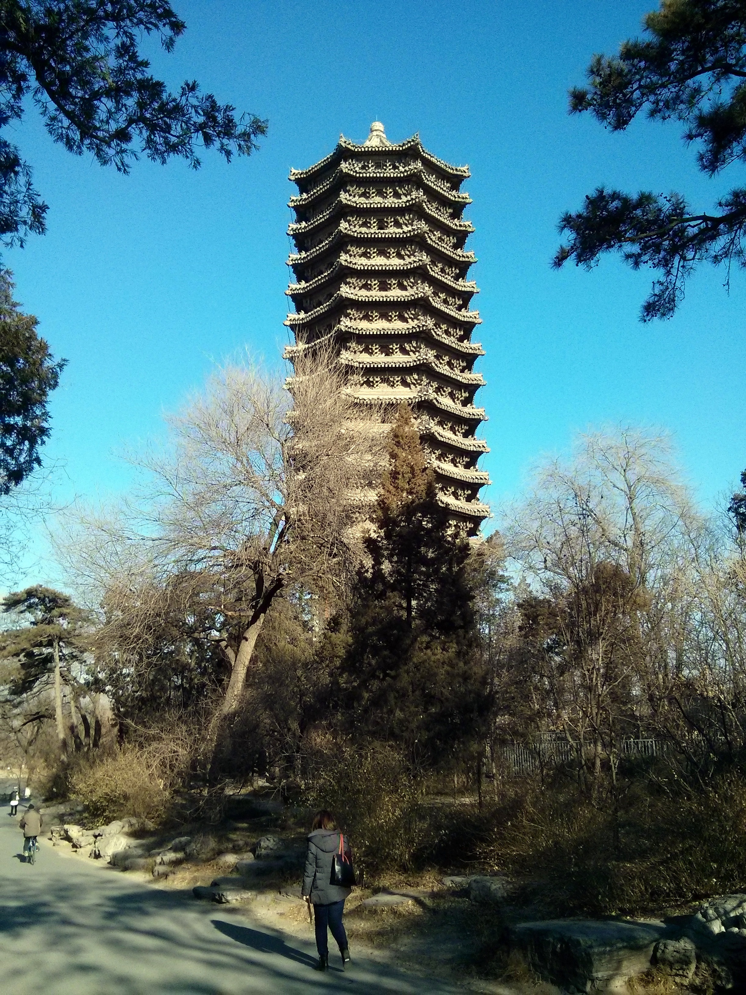 Beijing University Campus Walk Visions of Travel
