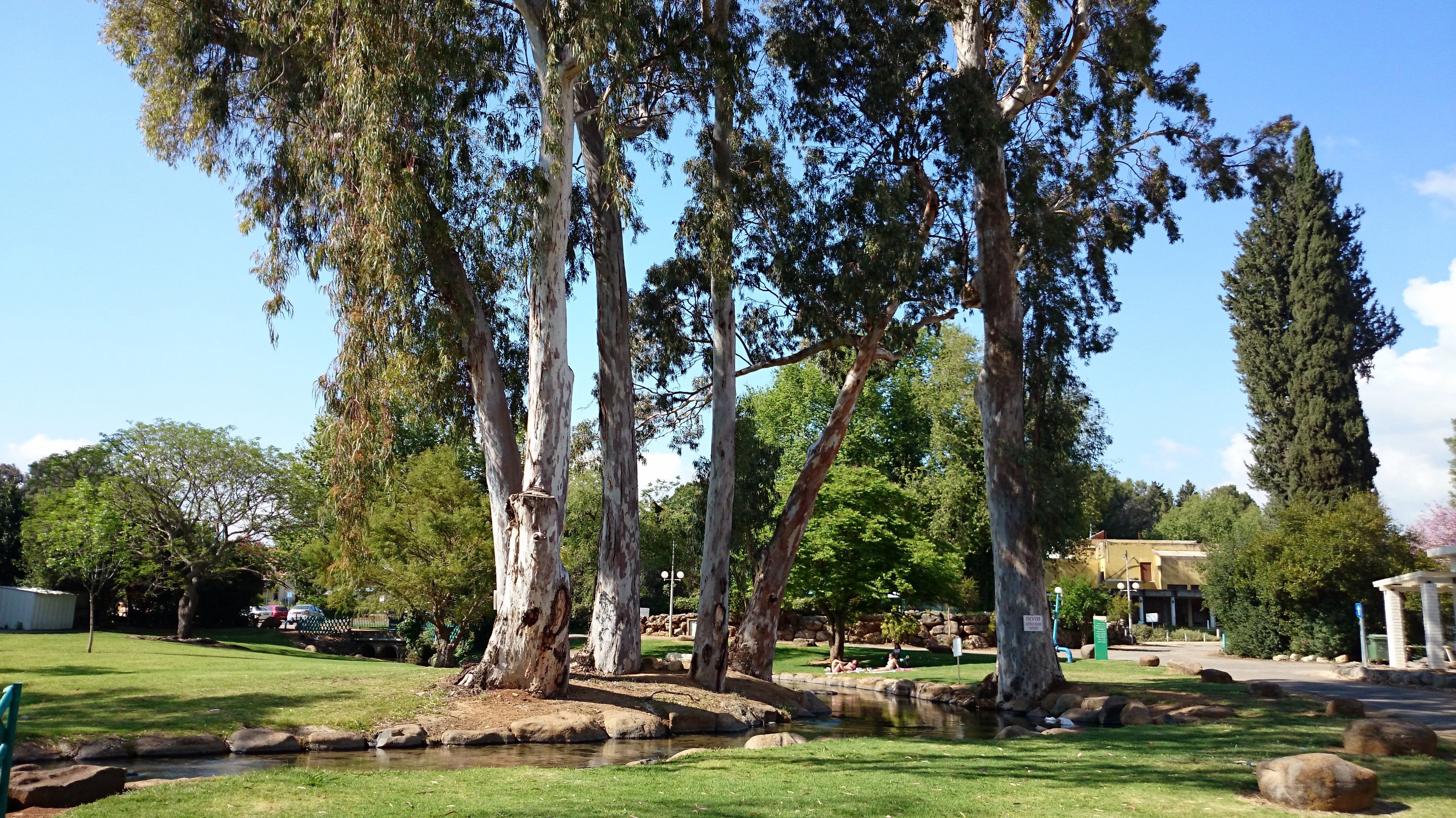 Kibbutz Dafna Northern Israel Visions of Travel