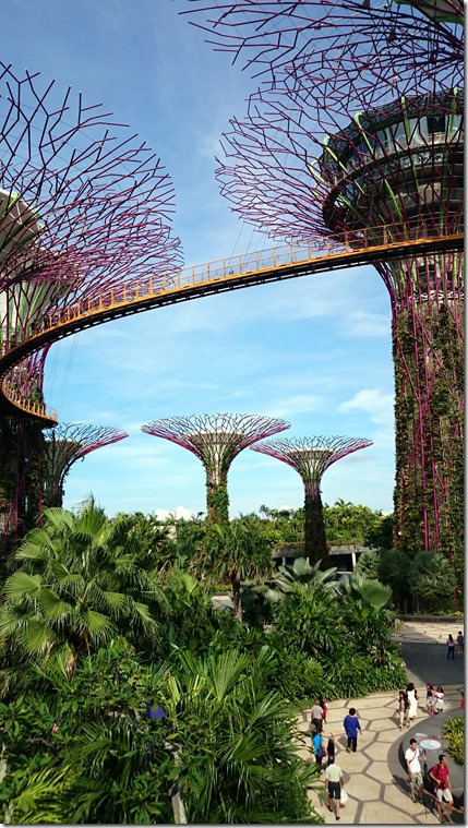 Singapore Gardens by the Bay-015 Singapore Gardens by the Bay-015