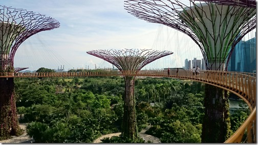 Singapore Gardens by the Bay-032