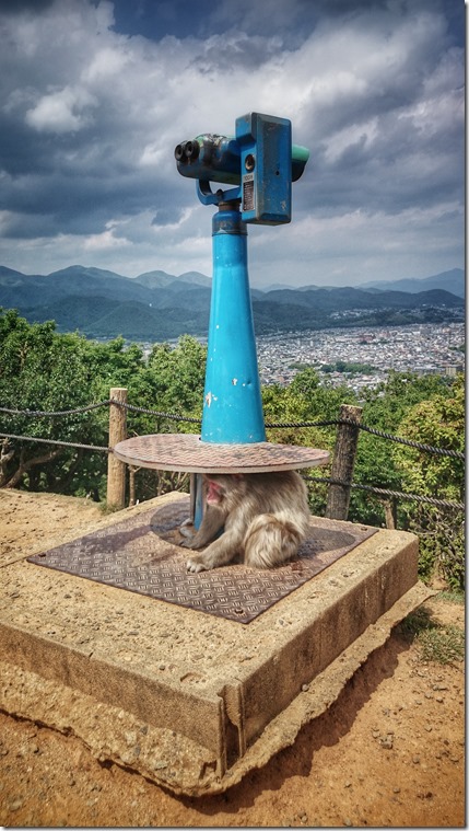 Kyoto Japan (59)