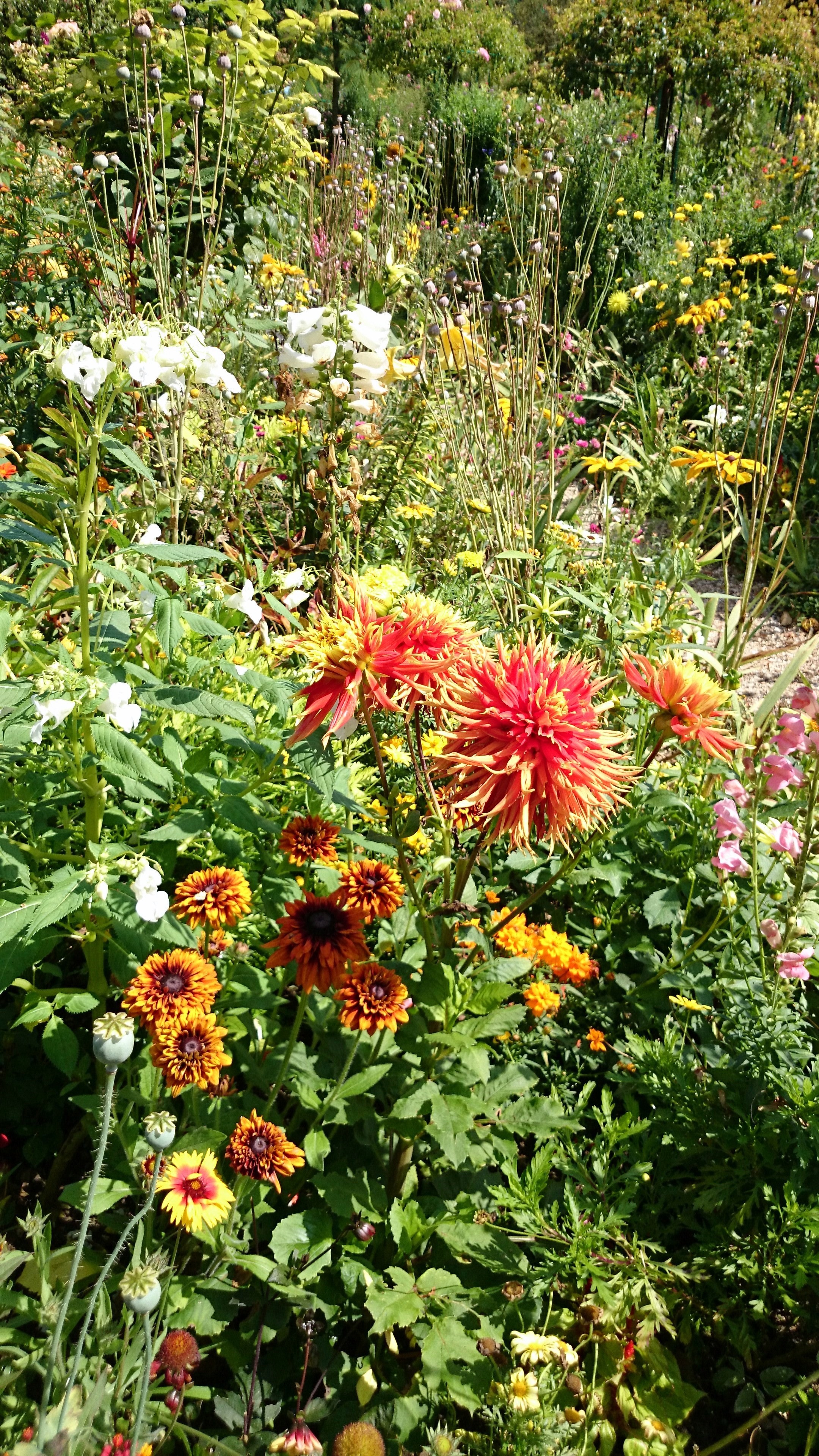 Claude Monet House and Gardens: Giverny France | Visions of Travel