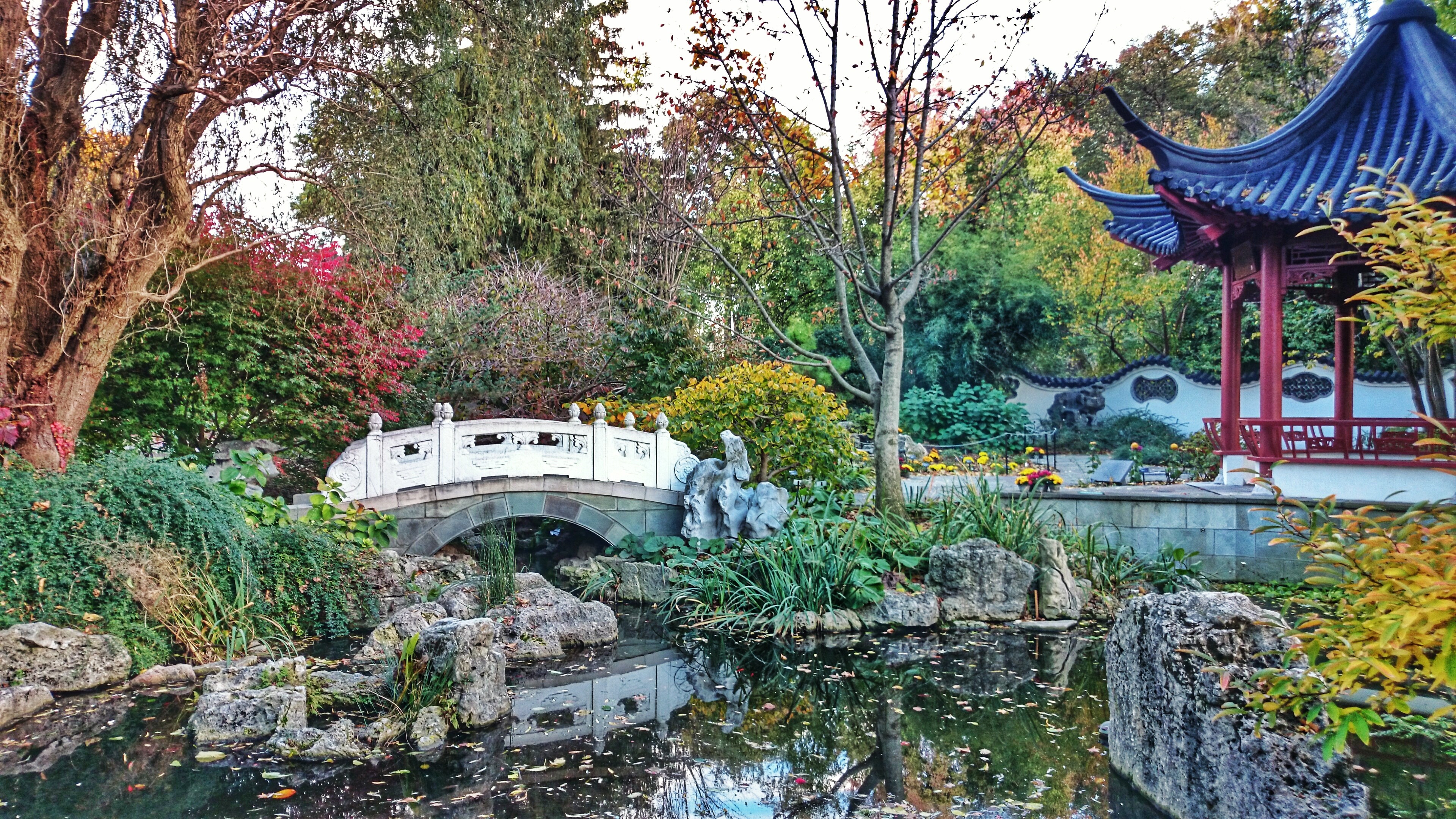St Louis Botanical Garden Japanese - cre8designgroup