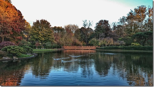 Missouri Botanical Garden - Saint Louis (14)