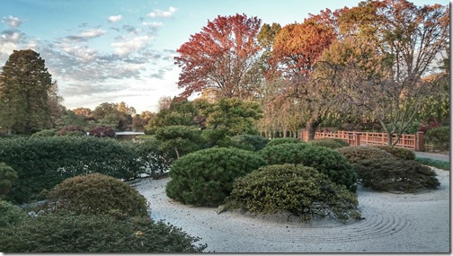 Missouri Botanical Garden - Saint Louis (17)