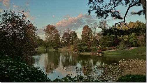 Missouri Botanical Garden - Saint Louis (18)