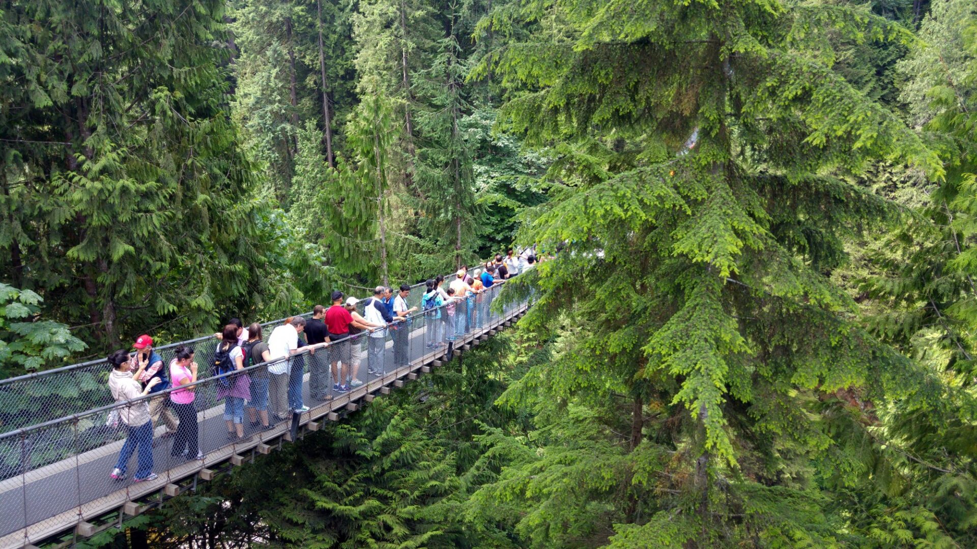 Capilano Suspension Bridge Vancouver Canada Visions of Travel