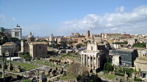 Ancient Palatine Palatino Hill Rome (8)