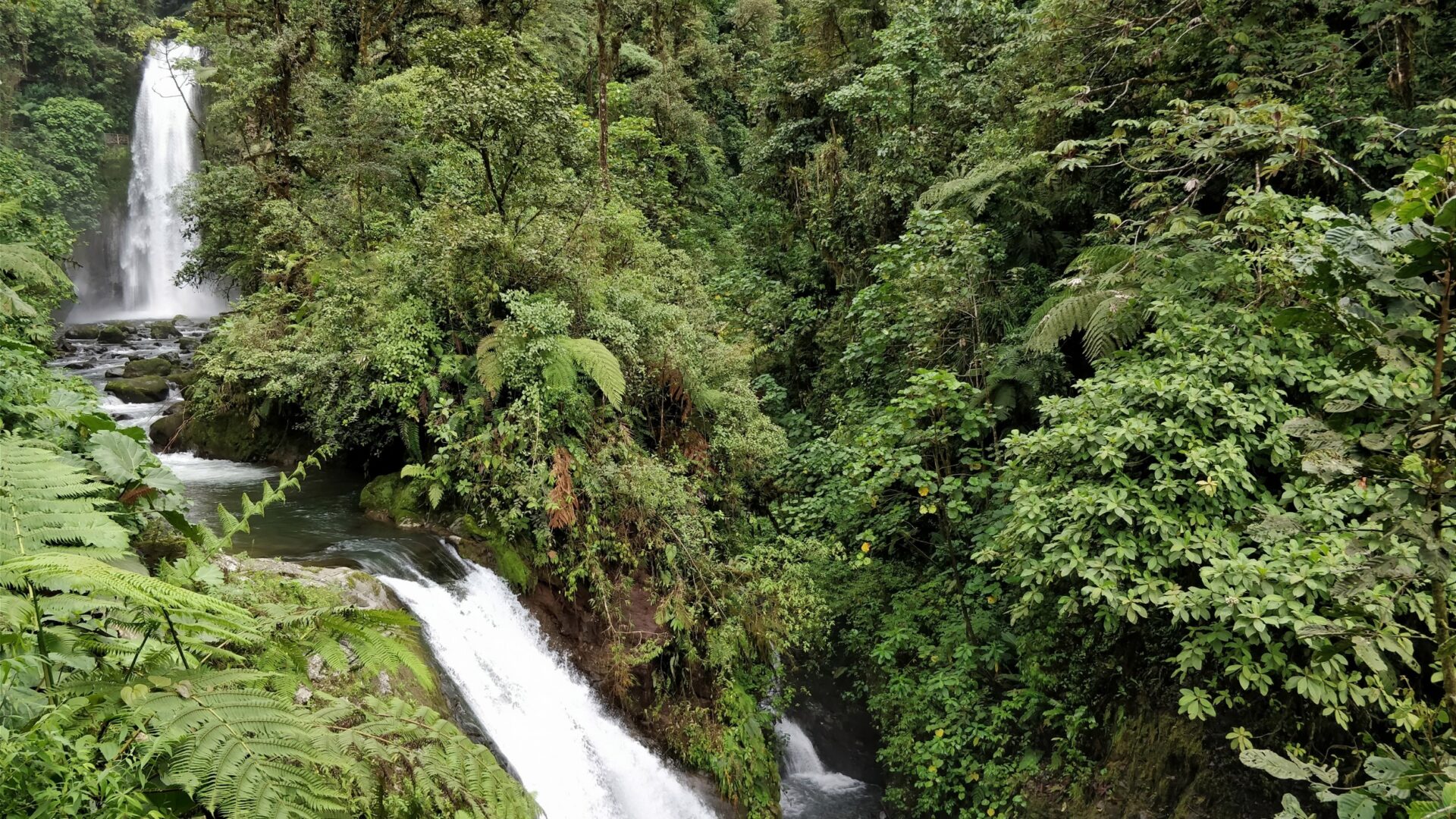 La Paz Waterfall Gardens Nature Park Costa Rica Visions of Travel