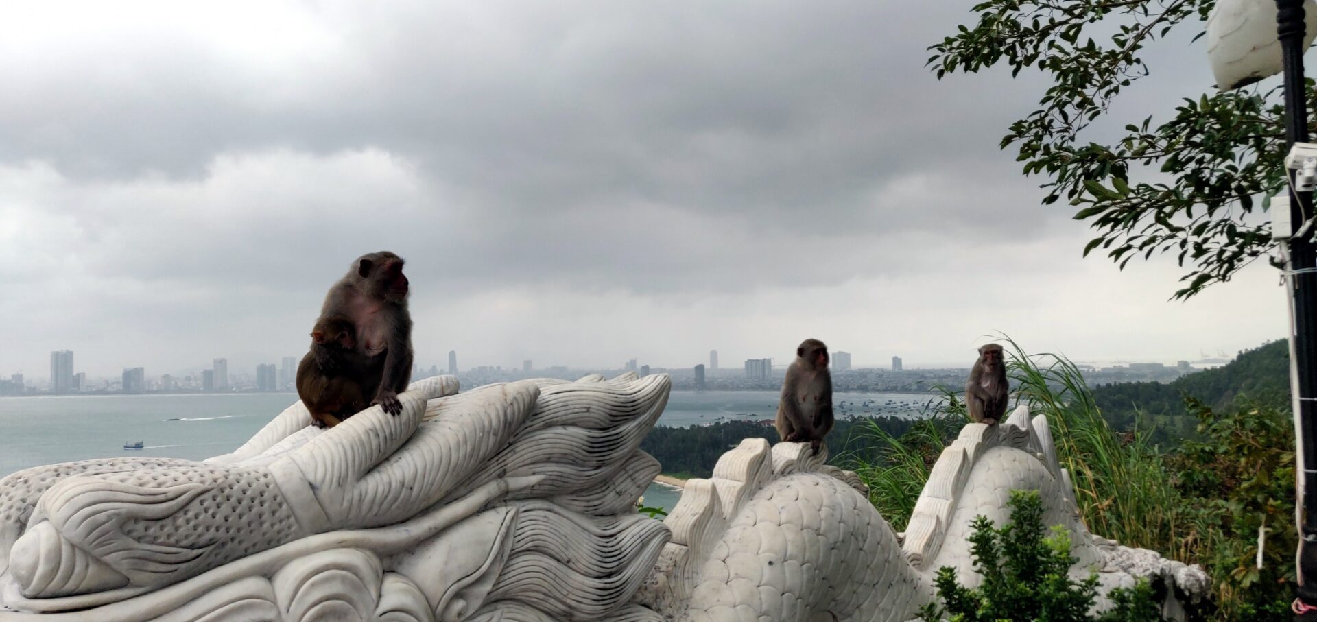 Son Tra Mountain (Monkey Mountain) Danang Vietnam Visions of Travel