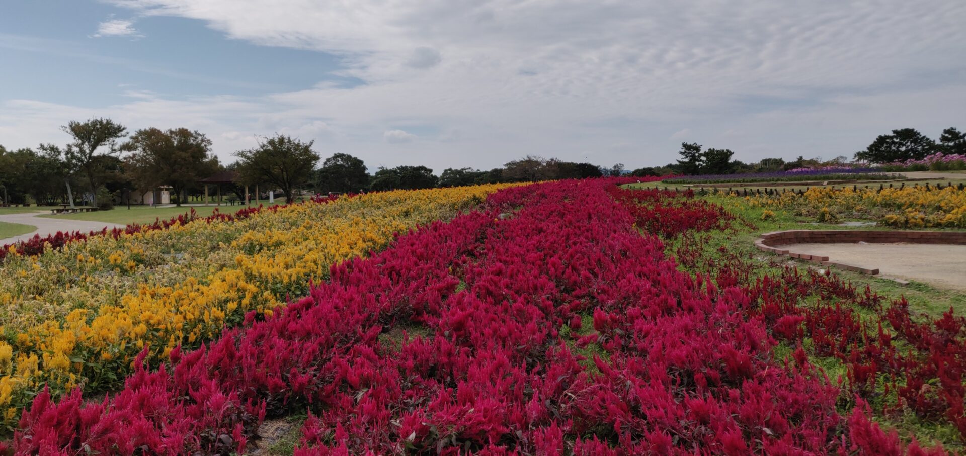 Uminonakamichi Seaside Park Fukuoka Visions of Travel