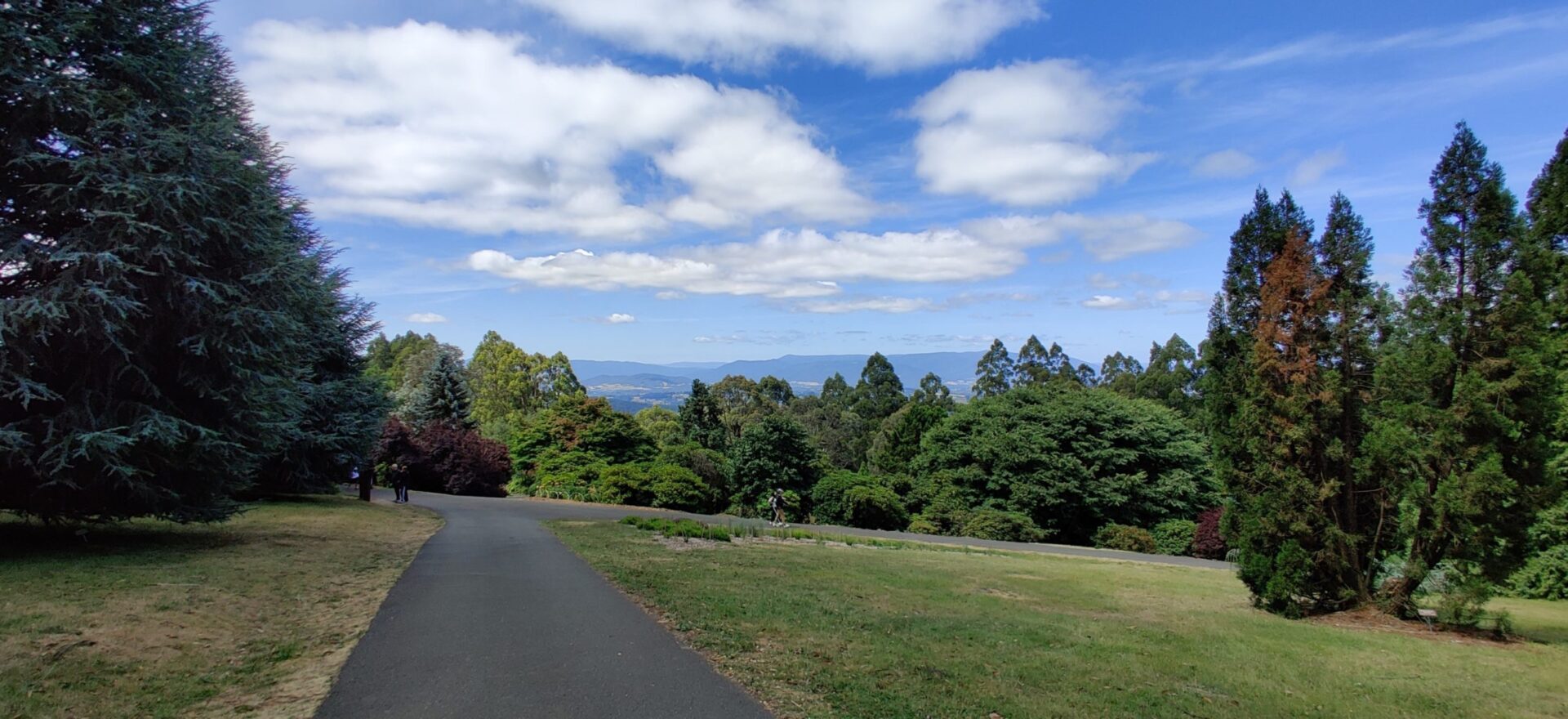 Mount Dandenong & Red Bluff Daytrip from Melbourne Visions of Travel