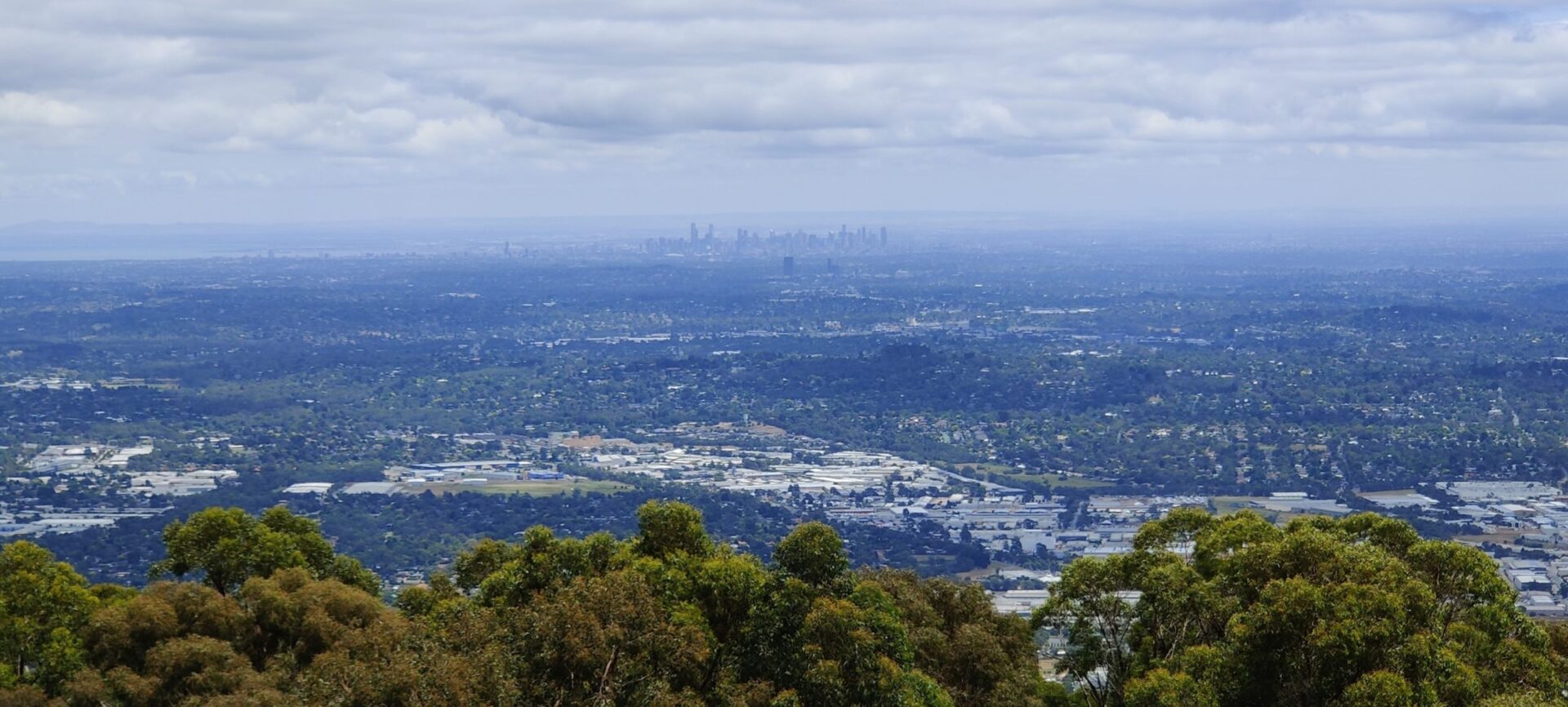 Mount Dandenong & Red Bluff Daytrip from Melbourne Visions of Travel