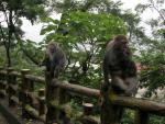 Monkey Mountain Tainan County-100.JPG