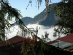 High above laid on a river of clouds : Breath-taking Alishan