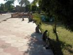 Jodhpur gardens-10.JPG