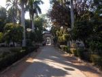 Sahleion Ki Bari Udaipur gardens.JPG
