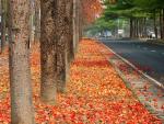 Tainan Autumn-12.jpg
