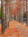 Tainan Autumn-7.jpg