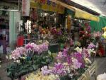 Tainan Flower Market-10.JPG