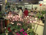 Tainan Flower Market-2.JPG