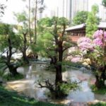 Touring Hong Kong : Nan Lian Garden