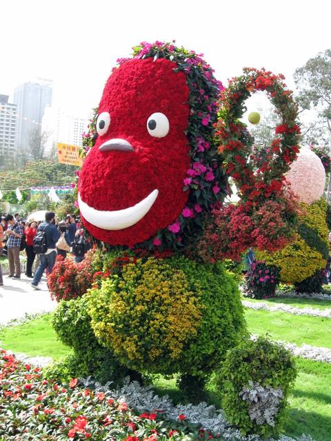 Hong Kong Flower Exhibition 2009 Victoria Park Causeway Bay-49.JPG