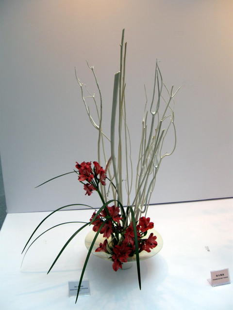 Asian Flower Art Exhibition 2009-24.JPG