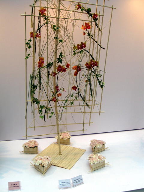 Asian Flower Art Exhibition 2009-57.JPG