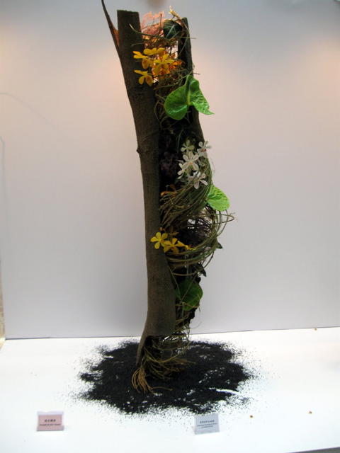 Asian Flower Art Exhibition 2009-59.JPG