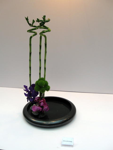 Asian Flower Art Exhibition 2009-63.JPG