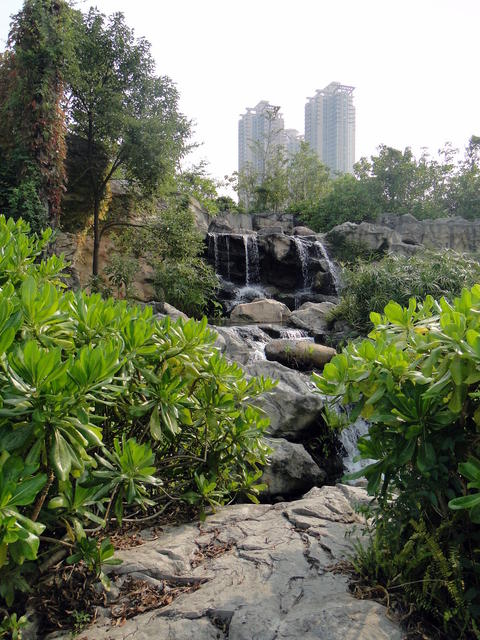 HK Wetland Park 014.JPG